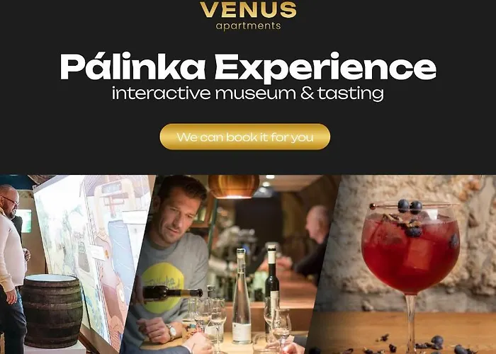 Venus - Paulay Ede I Budapest